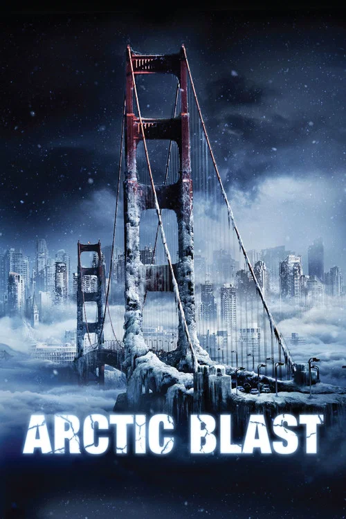 极地寒流(2010)海报