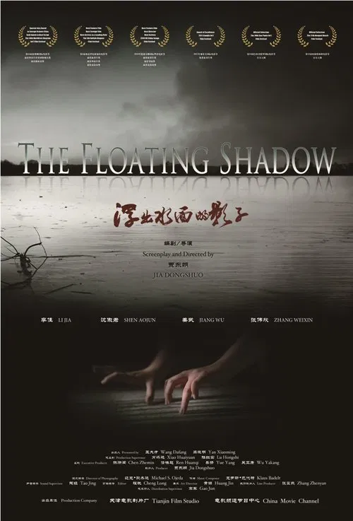 浮出水面的影子(2012)海报