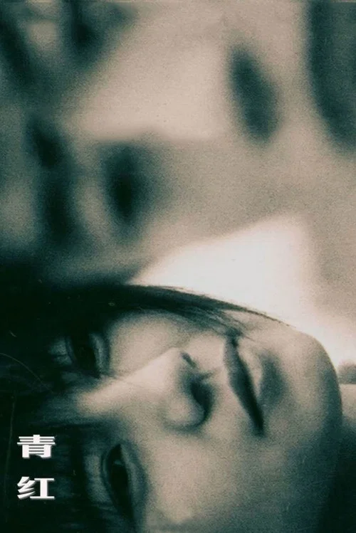 青红(2005)海报