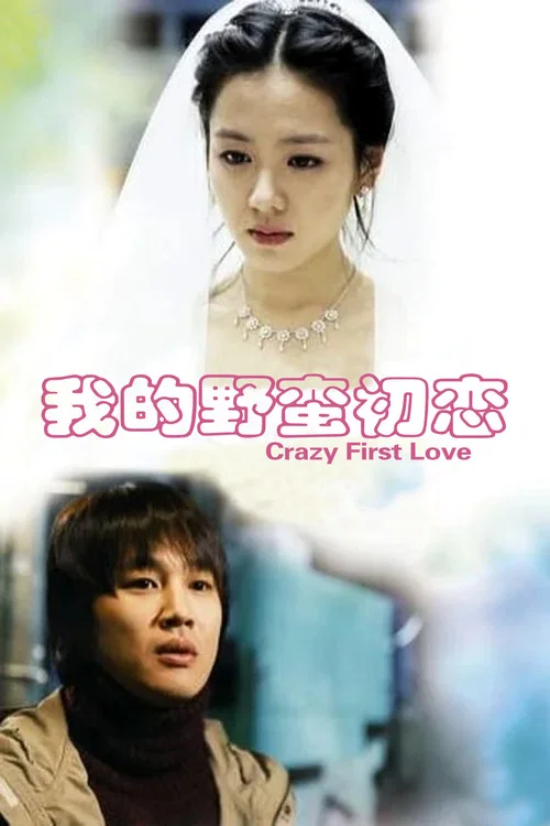 我的野蠻初戀(2003)海報