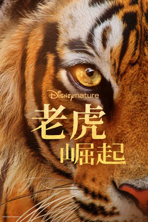 老虎崛起(2024)海報