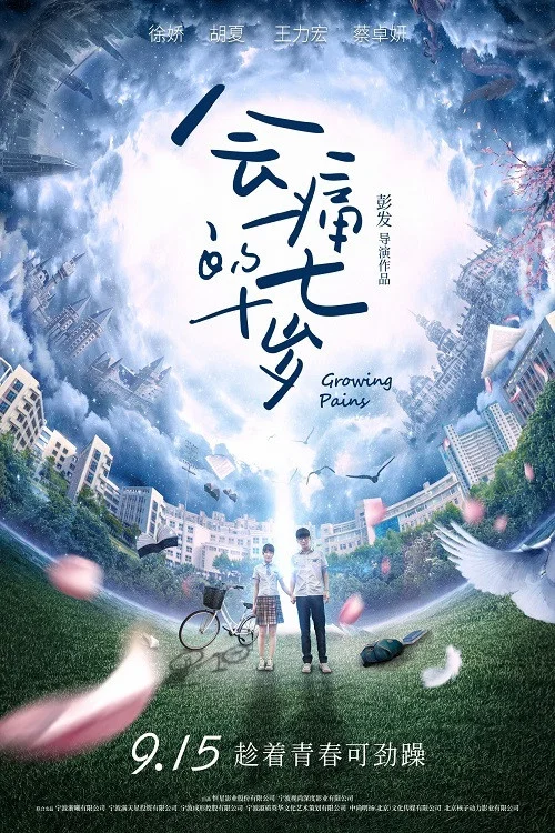 会痛的十七岁(2017)海报