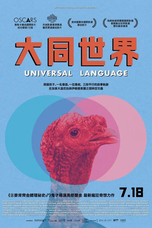 共同的語言劇照2