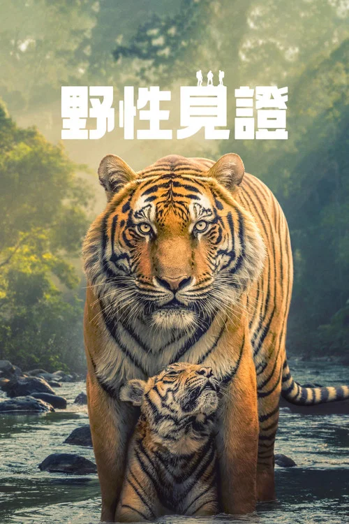 野性生靈(2025)海報