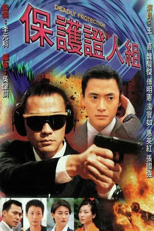 保护证人组(1997)海报