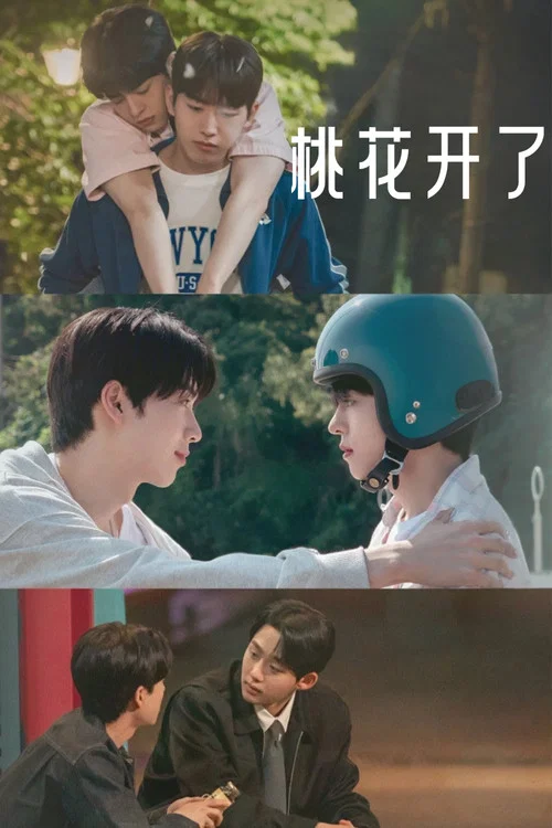 桃花開好了(2025)海報