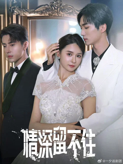 情深留不住(2024)海報