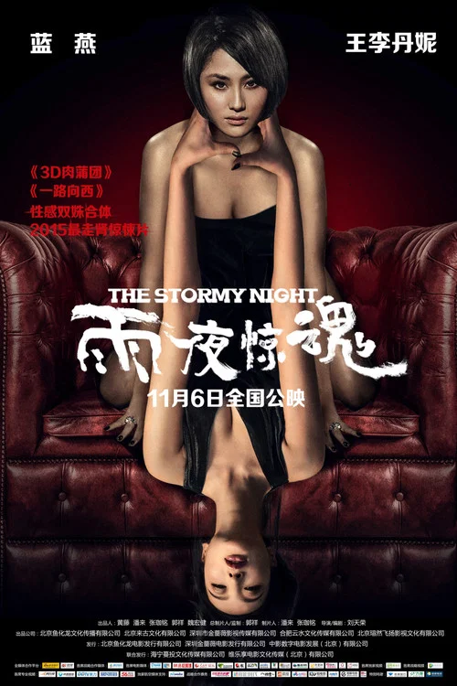 雨夜惊魂(2015)海报