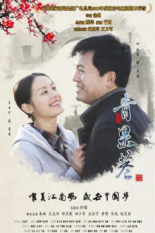 青果巷(2014)海報