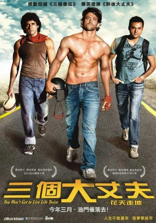 人生不再重来(2011)海报