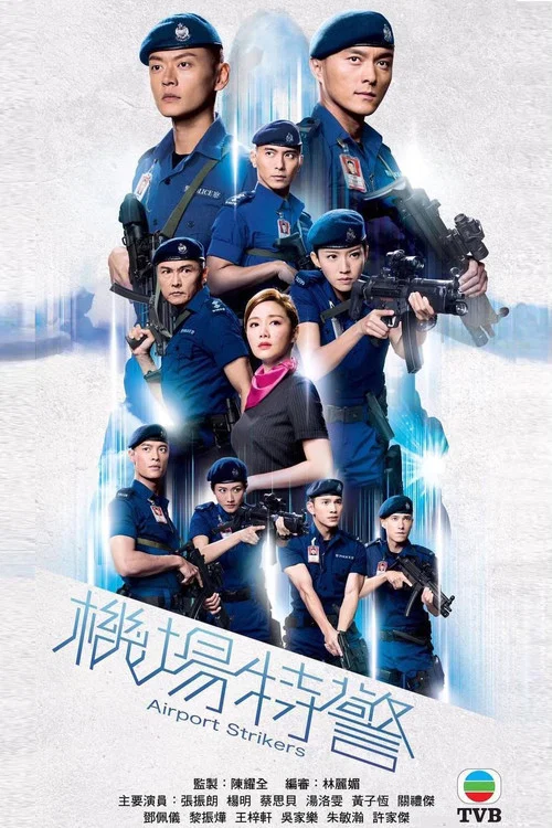 机场特警国语(2020)海报