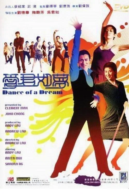 爱君如梦(2001)海报