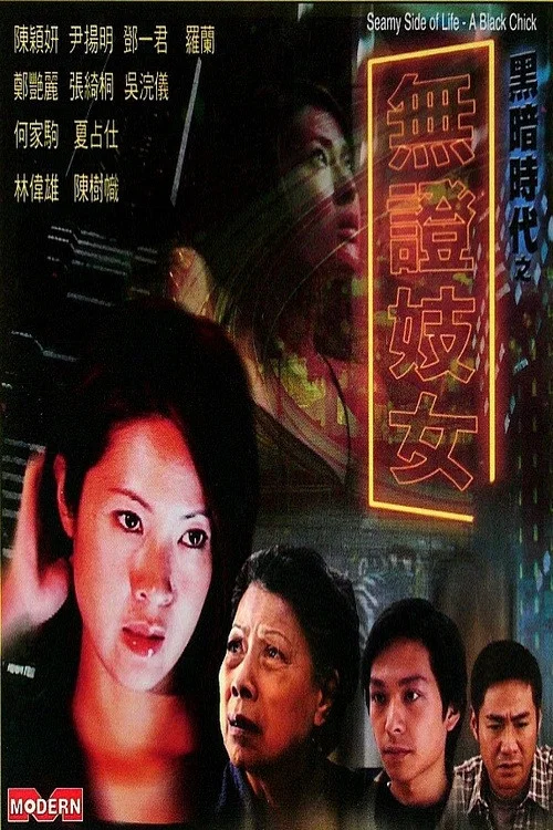 黑暗時代之無證妓女(2001)海報