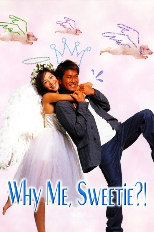 我的失忆男友(2003)海报