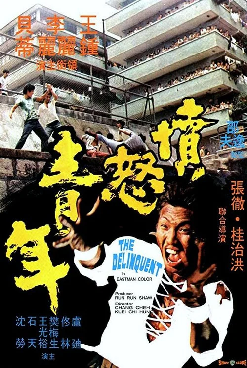 愤怒青年(1973)海报