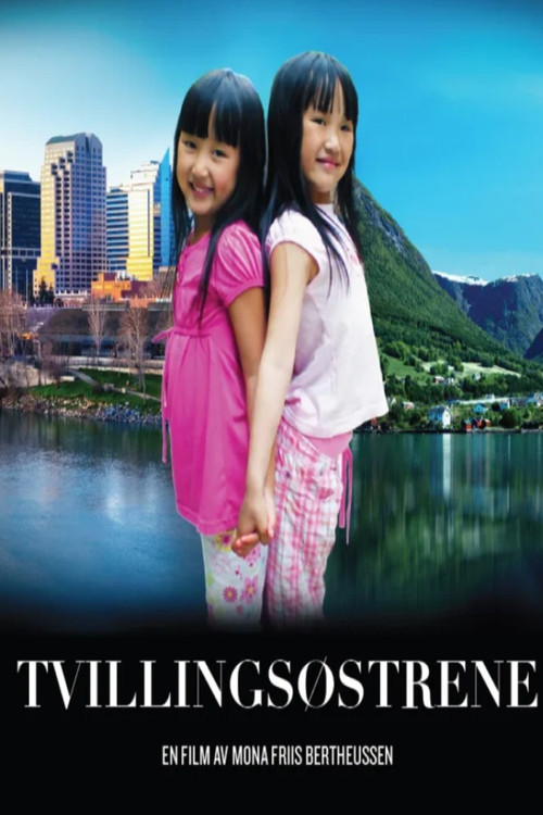 双胞胎姐妹(2013)海报