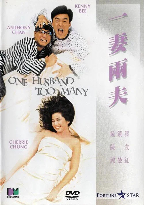 一妻两夫(1988)海报