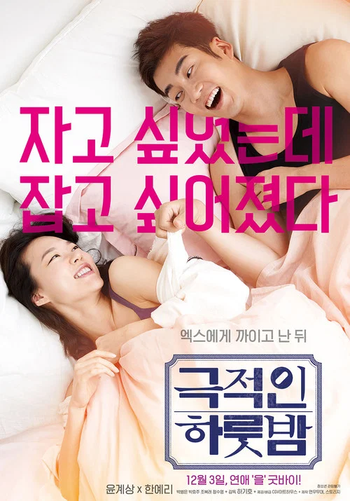 戲劇性的一夜(2015)海報