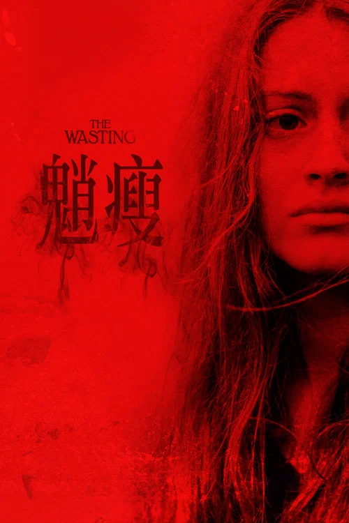 虚度青春海报