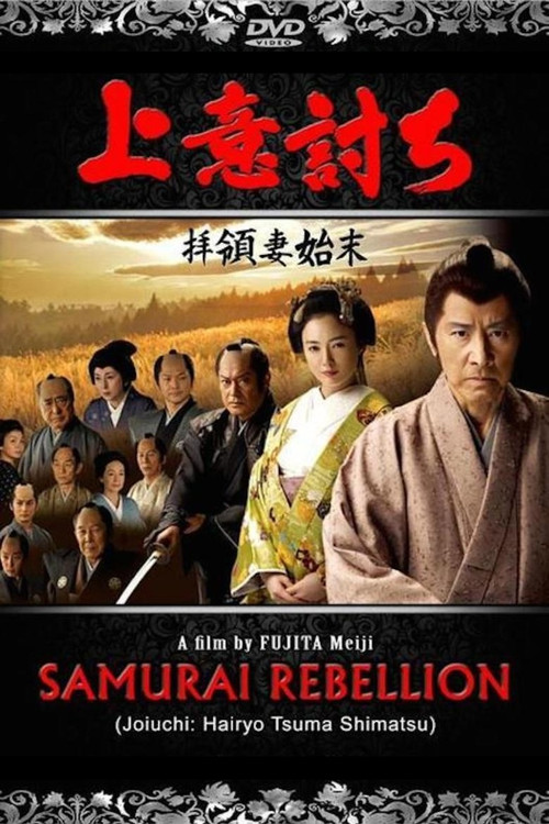 奪命劍(2013)海報