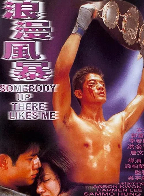 浪漫风暴(1996)海报