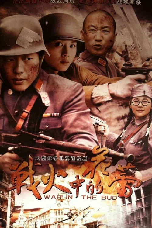 戰火中的花蕾(2012)海報