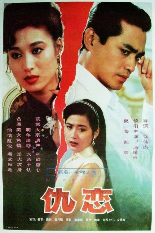 仇恋(1993)海报