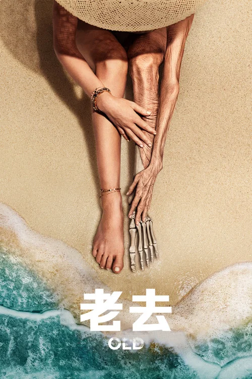 老去(2021)海报