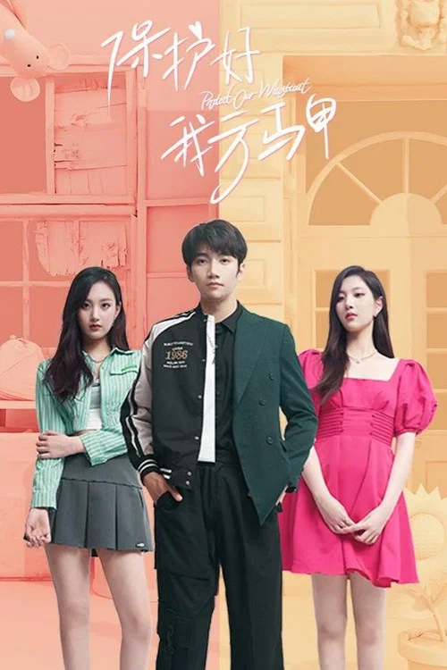 保护好我方马甲(2023)海报
