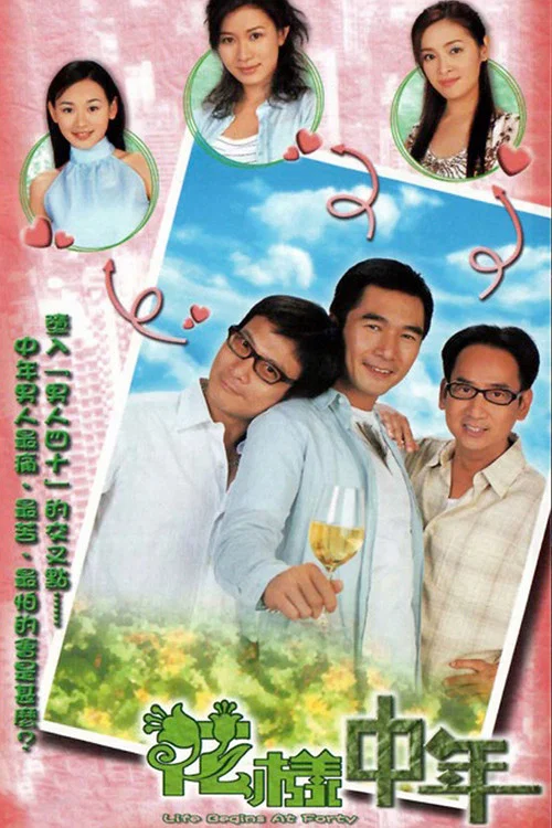 花样中年国语(2003)海报