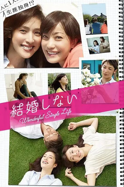 不结婚(2012)海报