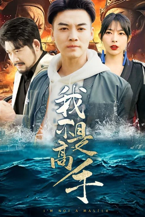 我不是高手剧照2