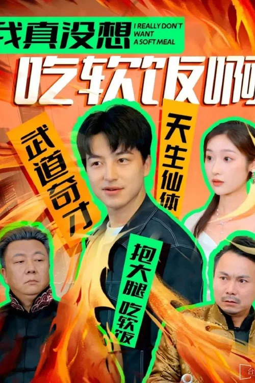 我真没想吃软饭啊(2024)海报
