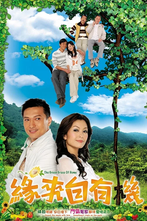 緣來自有機(2007)海報