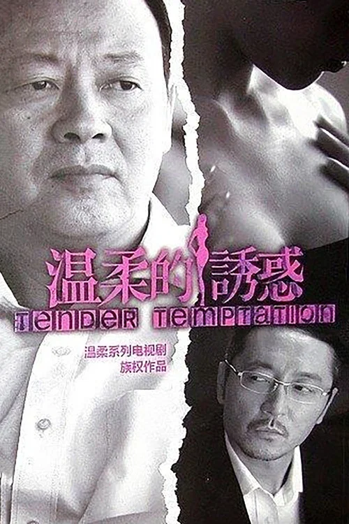 温柔的诱惑(2014)海报
