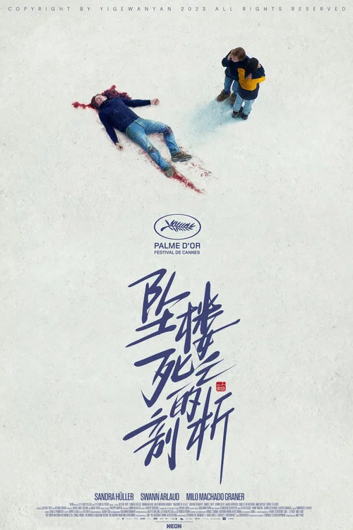 坠落的审判剧照5