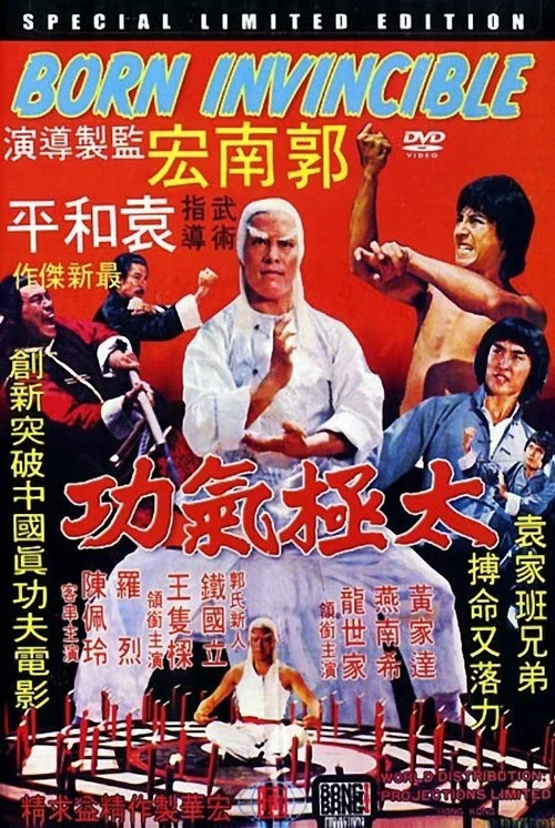 太极气功(1978)海报