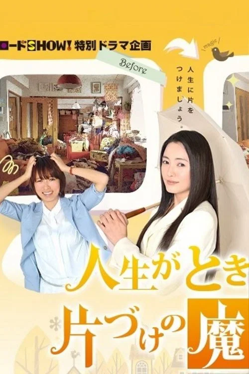 怦然心动的人生整理魔法(2013)海报