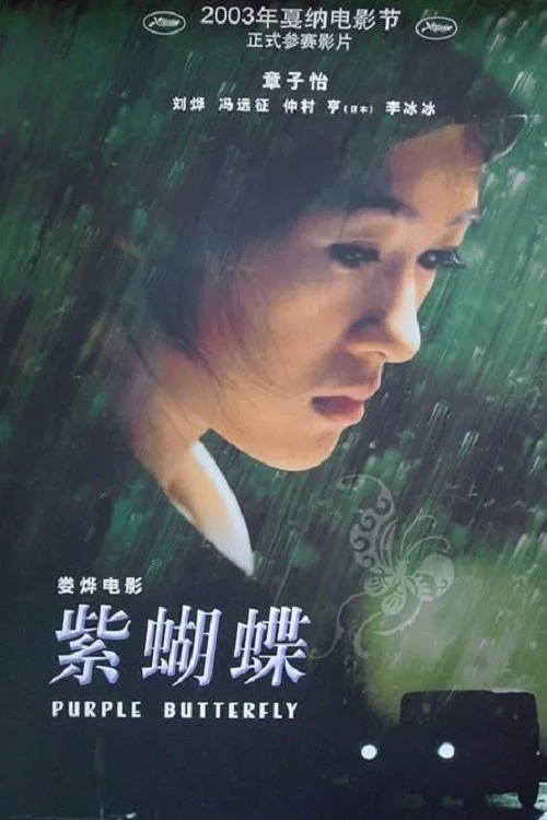 紫蝴蝶(2003)海报