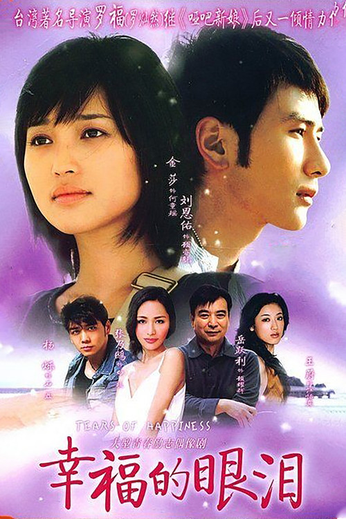 幸福的眼淚(2009)海報