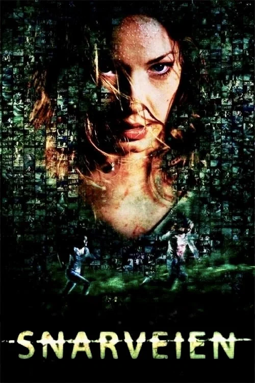 捷径(2009)海报
