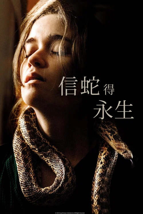 追随者(2019)海报