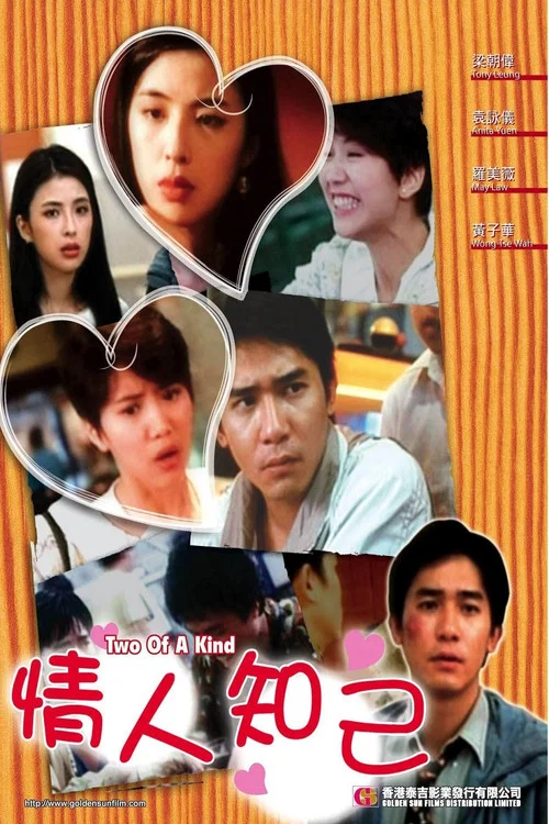 情人知己(1993)海报