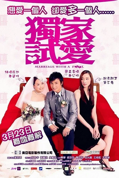 独家试爱(2006)海报