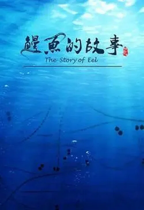 鳗鱼的故事(2019)海报