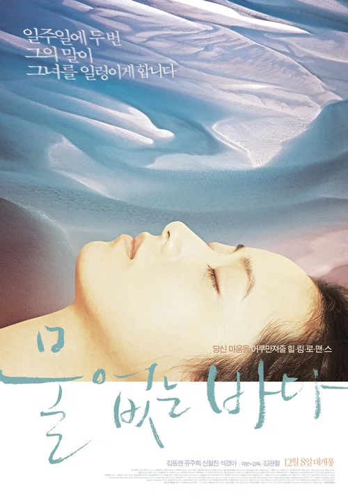 沒有水的大海(2011)海報