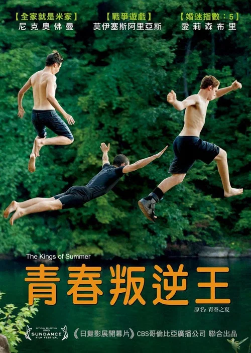 夏日之王(2013)海报