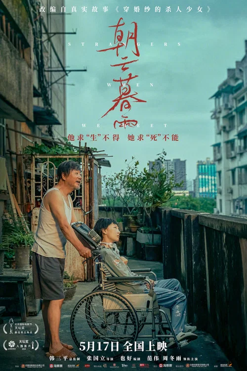 朝云暮雨(2024)海报