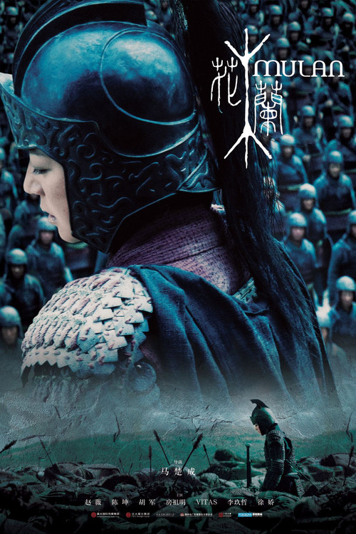 花木兰2009(2009)海报