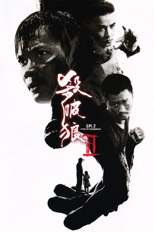 杀破狼2(2015)海报